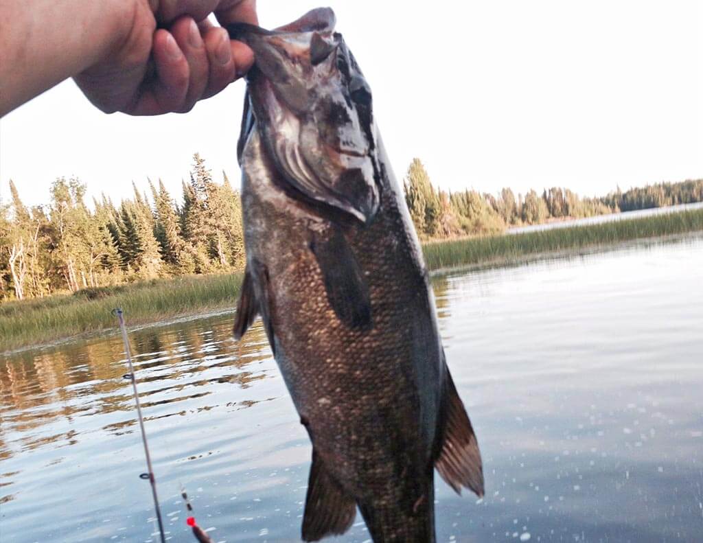 ontario bass fishing